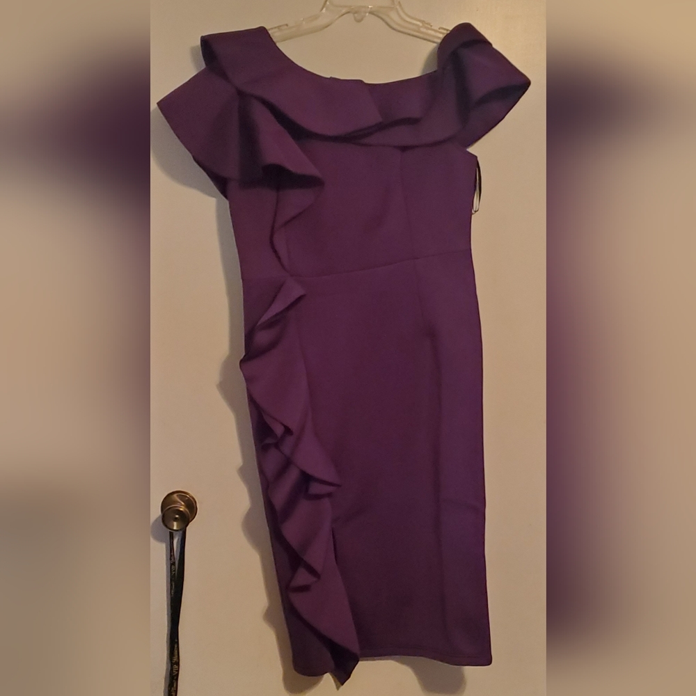 NWT Plum dress bought from Shein size 1XL